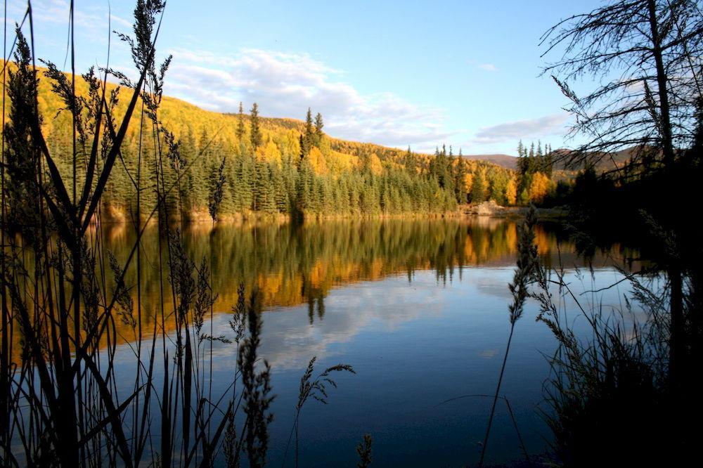 Chena Hot Springs Resort フェアバンクス エクステリア 写真