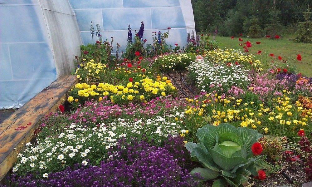 Chena Hot Springs Resort フェアバンクス エクステリア 写真